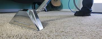 What Are the Benefits of Steam Cleaning for Carpets